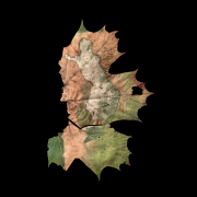 Nuotr. Žilvinas Kropas